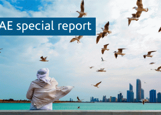 Coronavirus crashes down on UAE economy