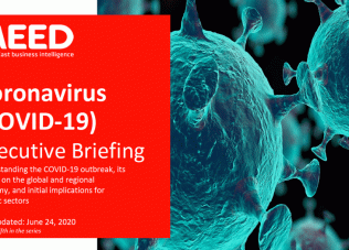 Coronavirus executive briefing (24 June)