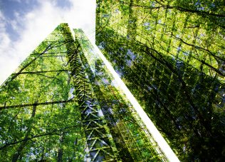 green city - double exposure of lush green forest and modern skyscrapers windows